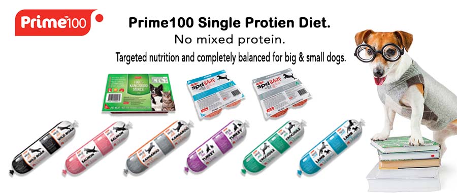Prime 100 banner for Val