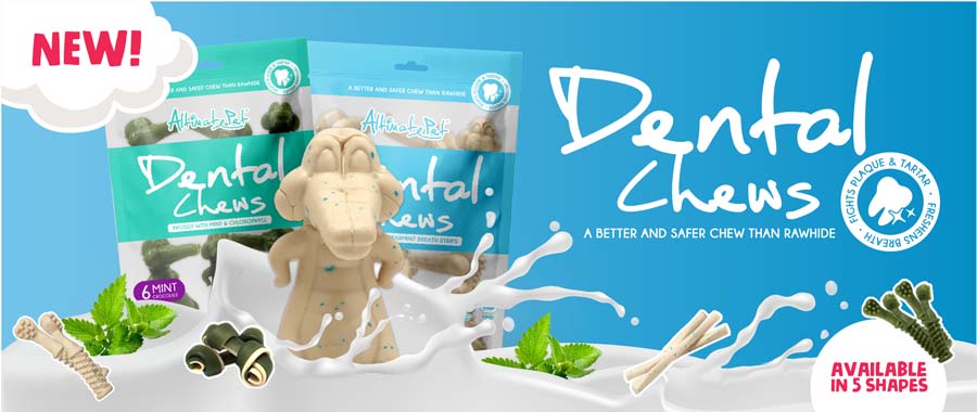 dental chew