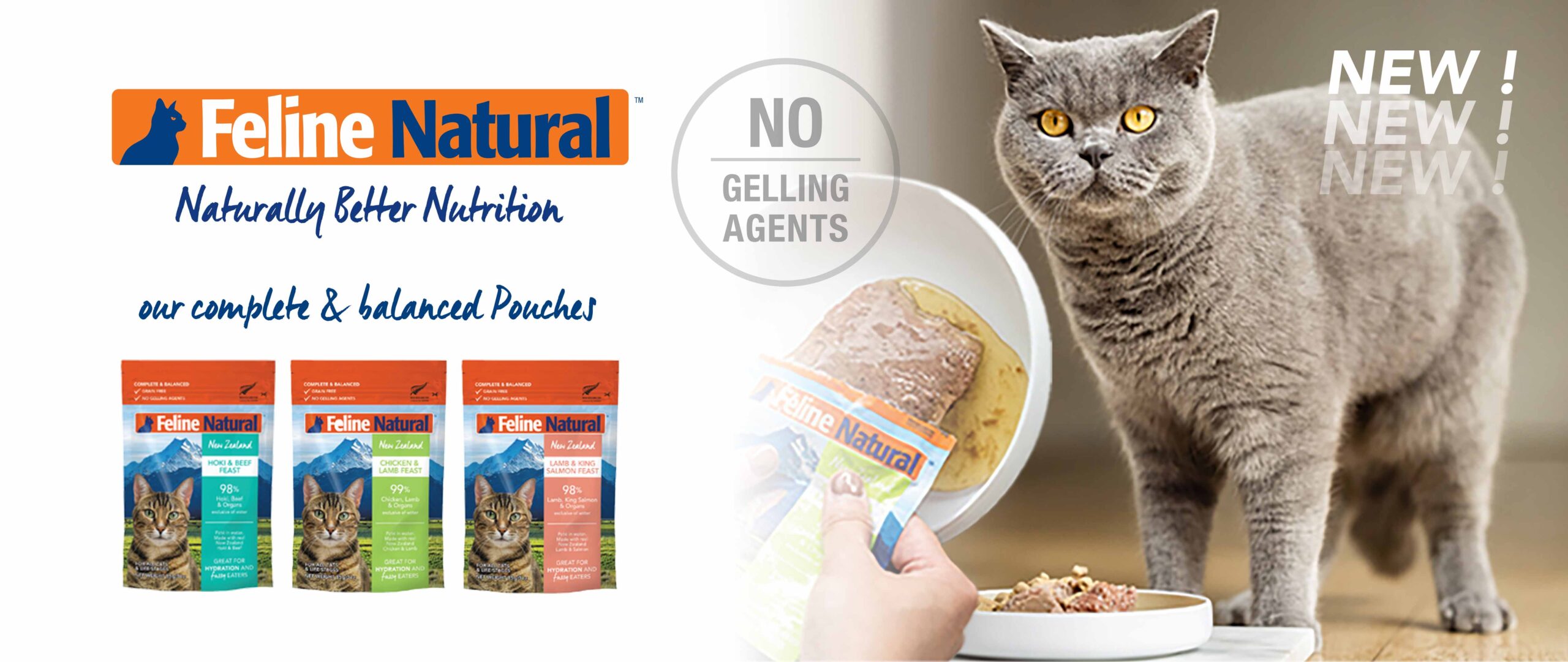 feline nat pouch