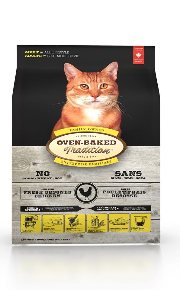 cheap cat food online