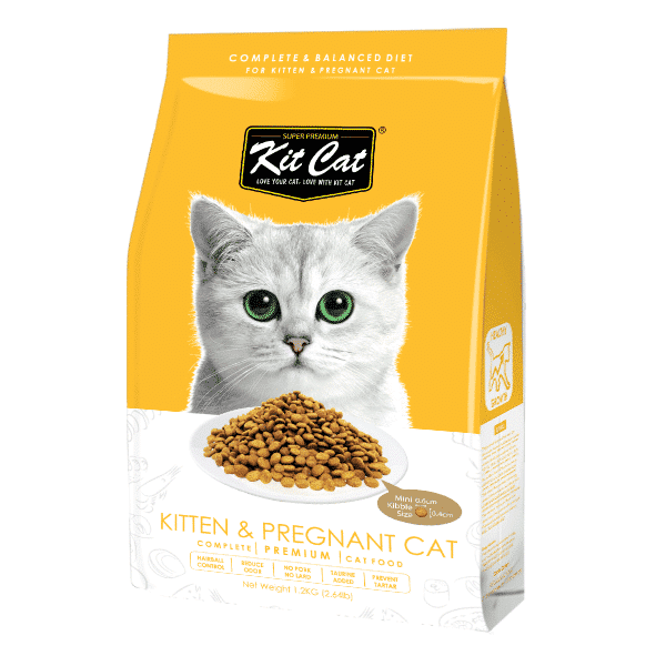cheap cat food online