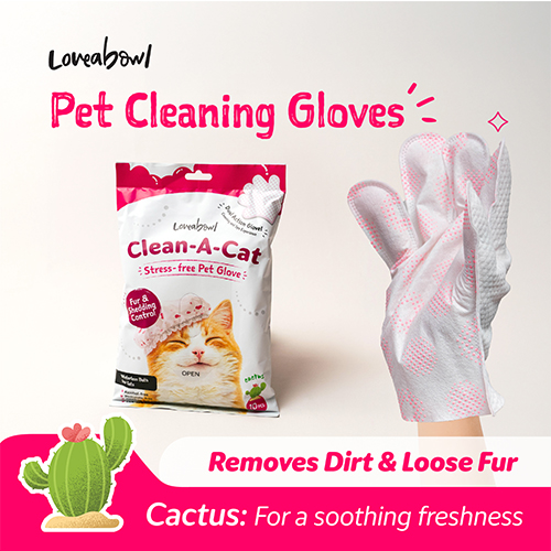 Loveabowl Stress-free Pet Glove For Cat - Cactus (10pcs)