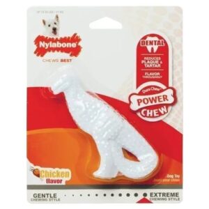 Nylabone Power Chew Dental Dinosaur - NDD003P