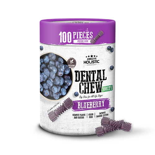 Absolute Holistic BOOST! Dental Chew Value Tub for Dogs - Blueberry | Petite - 100PCS (900G)