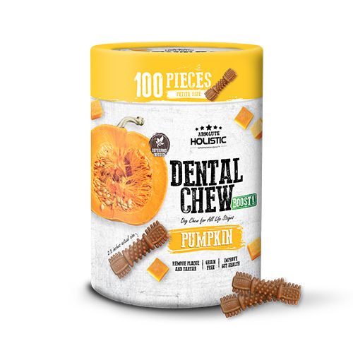 Absolute Holistic BOOST! Dental Chew Value Tub for Dogs - Pumpkin | Petite - 100PCS (900G)
